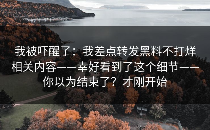 我被吓醒了：我差点转发黑料不打烊相关内容——幸好看到了这个细节——你以为结束了？才刚开始