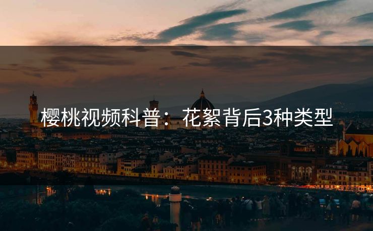 樱桃视频科普：花絮背后3种类型