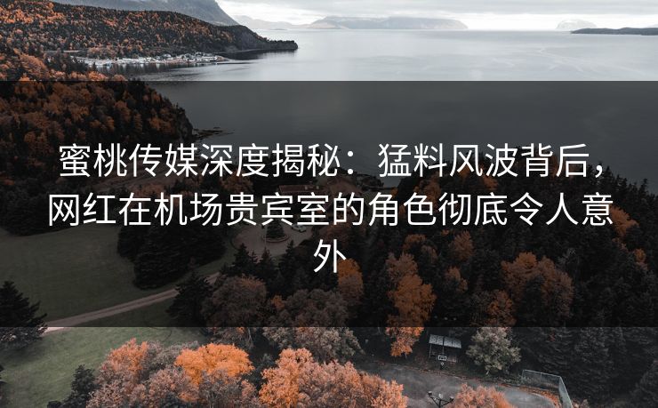 蜜桃传媒深度揭秘：猛料风波背后，网红在机场贵宾室的角色彻底令人意外
